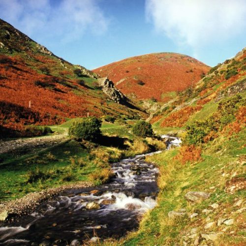 1.11-Carding-Mill-Valley-in-Autumn-800x600