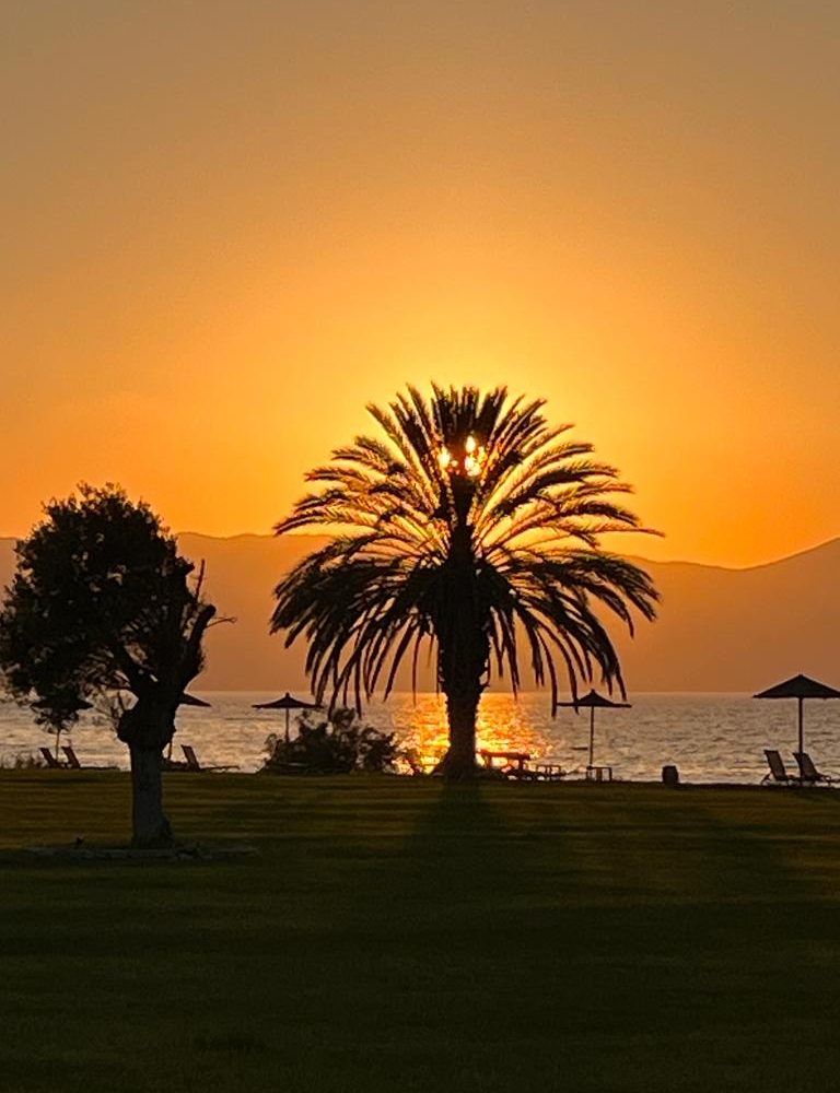 bdc4f5f3-98e1-4984-b592-4d2869216da7