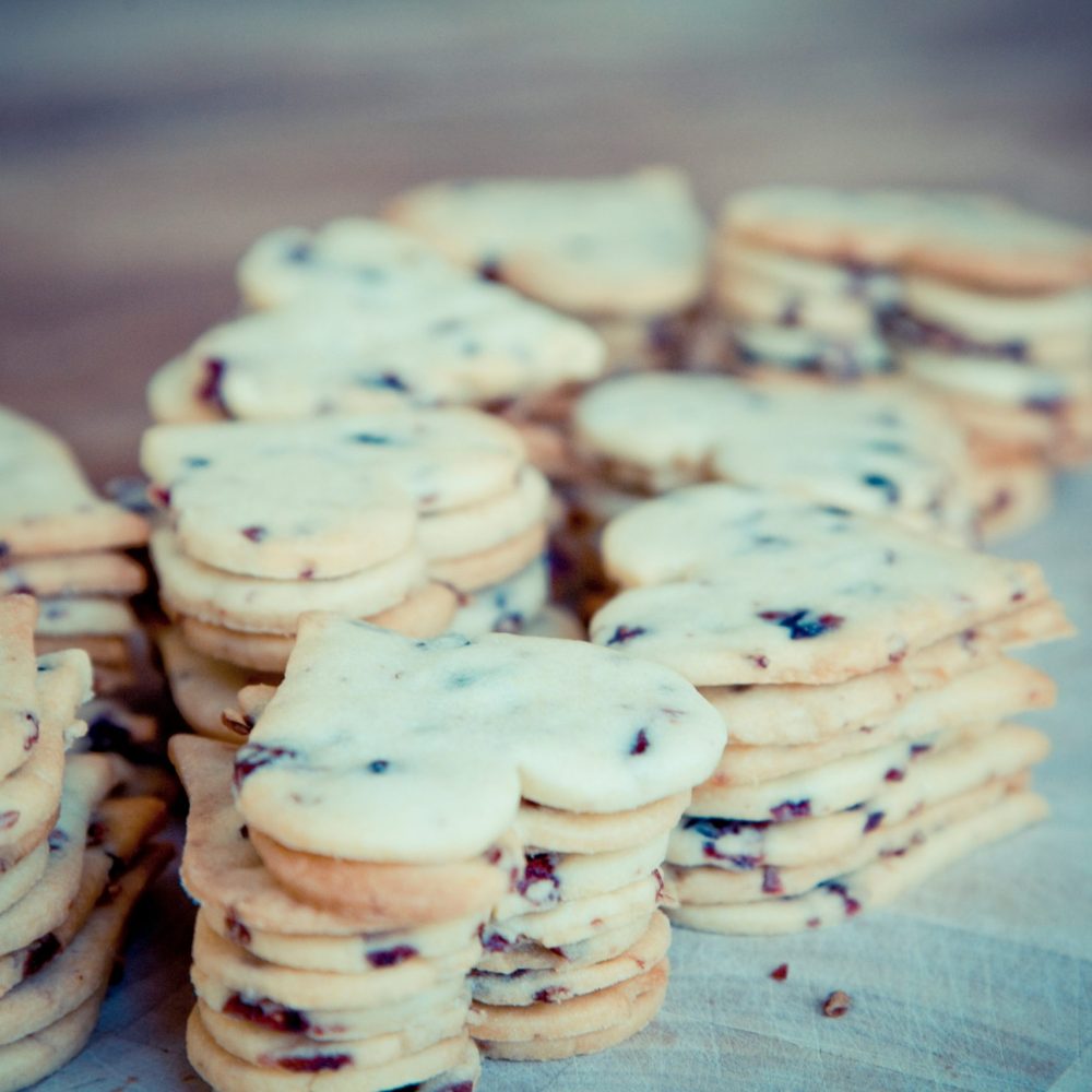 markus-spiske-uguWlMDhg-c-unsplash